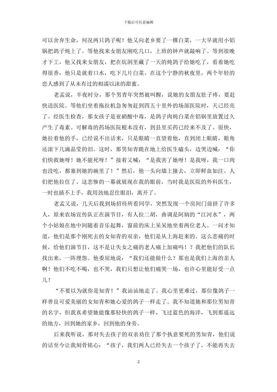 亲爱的小鸽子-亲爱的小鸽子啊歌_第2页