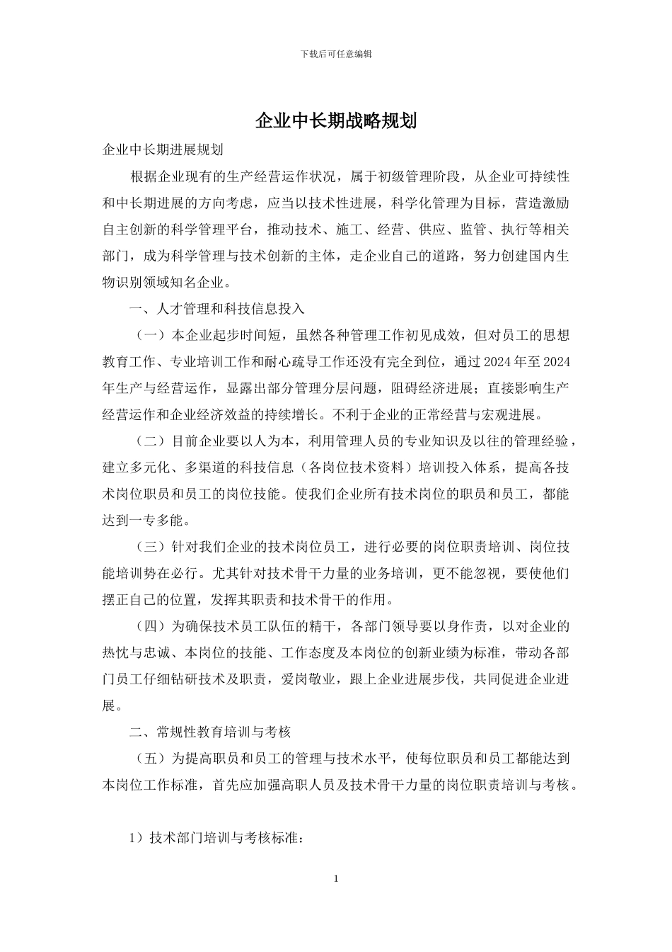 企业中长期战略规划_第1页