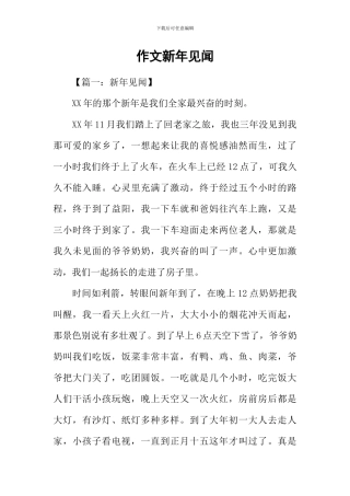 作文新年见闻