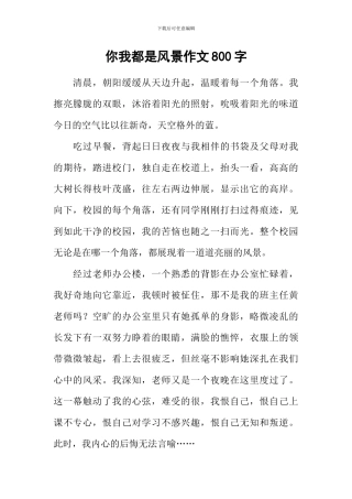 你我都是风景作文800字