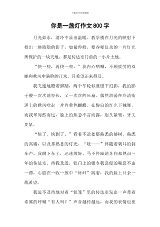 你是一盏灯作文800字