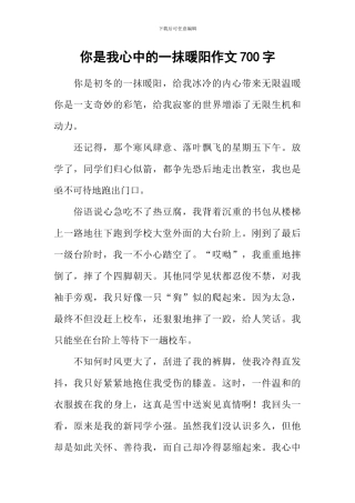 你是我心中的一抹暖阳作文700字