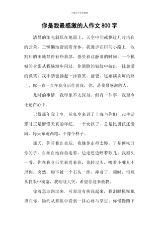 你是我最感激的人作文800字