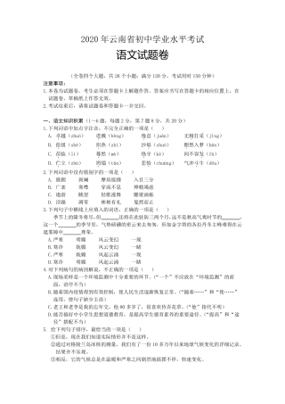 2020年云南省初中学业水平考试语文试题卷及参考答案