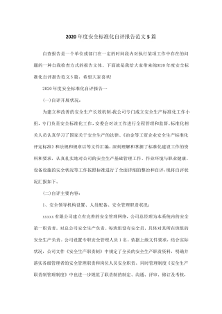 2020年度安全标准化自评报告范文5篇