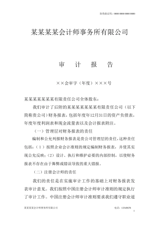 2020年度财务审计报告,2020年财务审计报告
