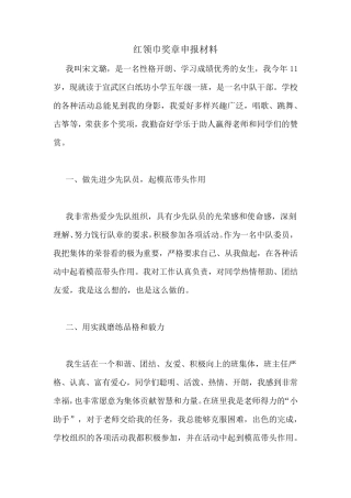 2020年红领巾奖章申报材料