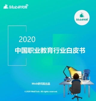 2020职业教育行业白皮书