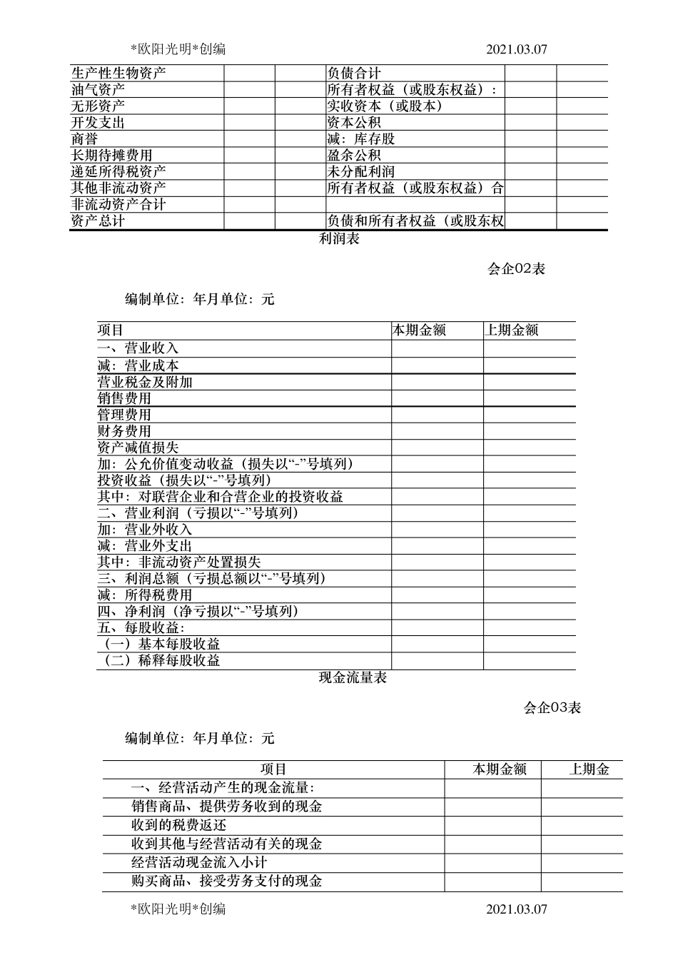 2021年财务报表标准格式__第2页