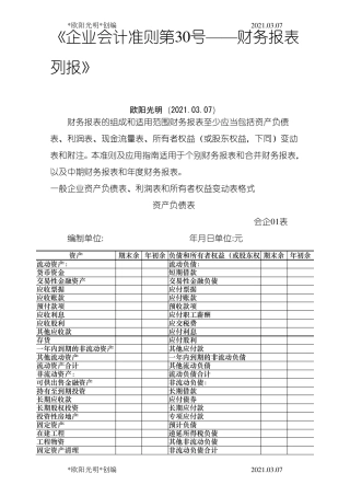 2021年财务报表标准格式_