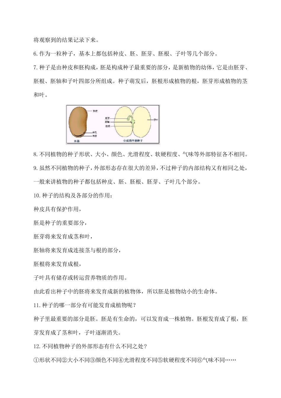 2021新教科版四年级下册科学第一单元《植物的生长变化》知识点整理_第2页