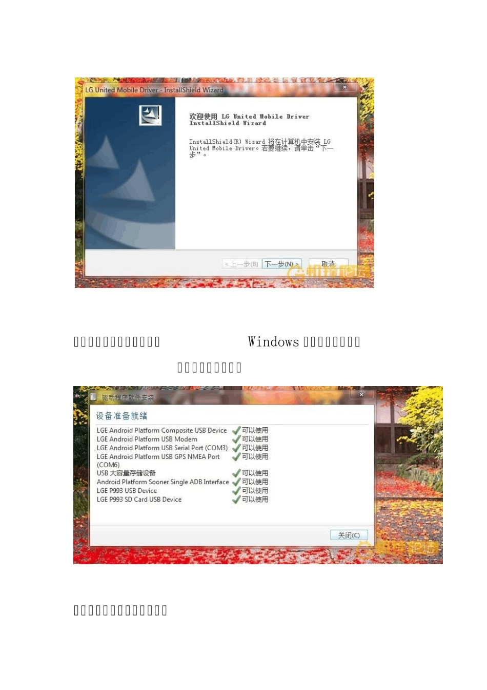 LG_P990_P993_Root+Recovery+刷机(详细图文教程)_第2页