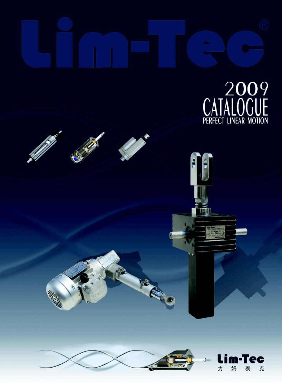 LIMTEC样本2009_第1页