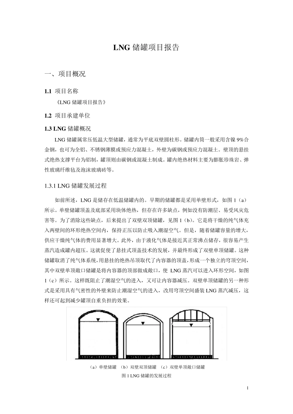 LNG储罐项目报告_第1页