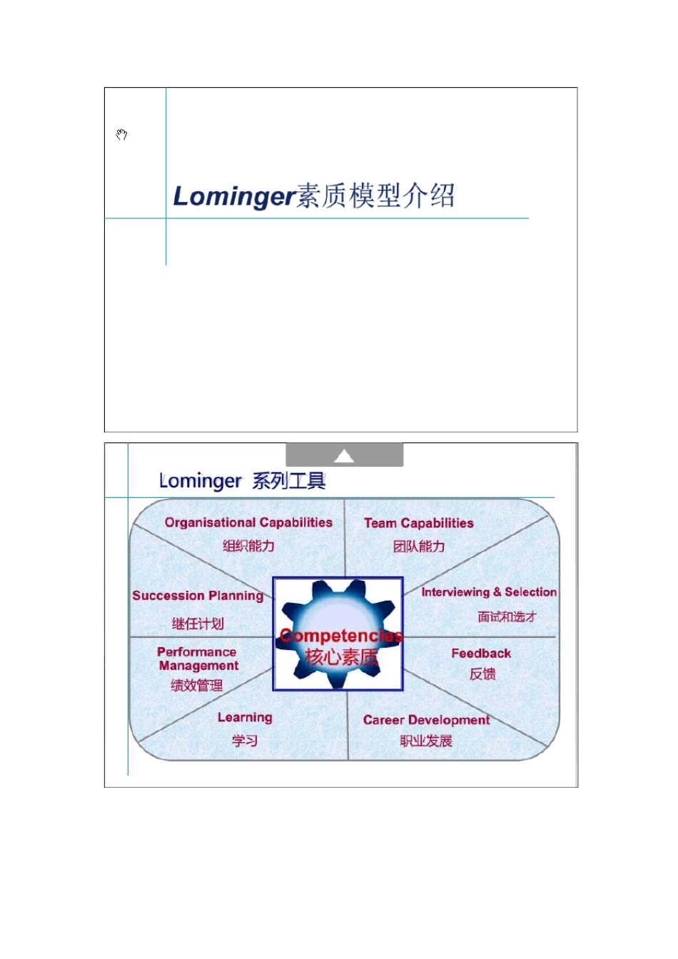 LOMINGER素质模型介绍_第1页