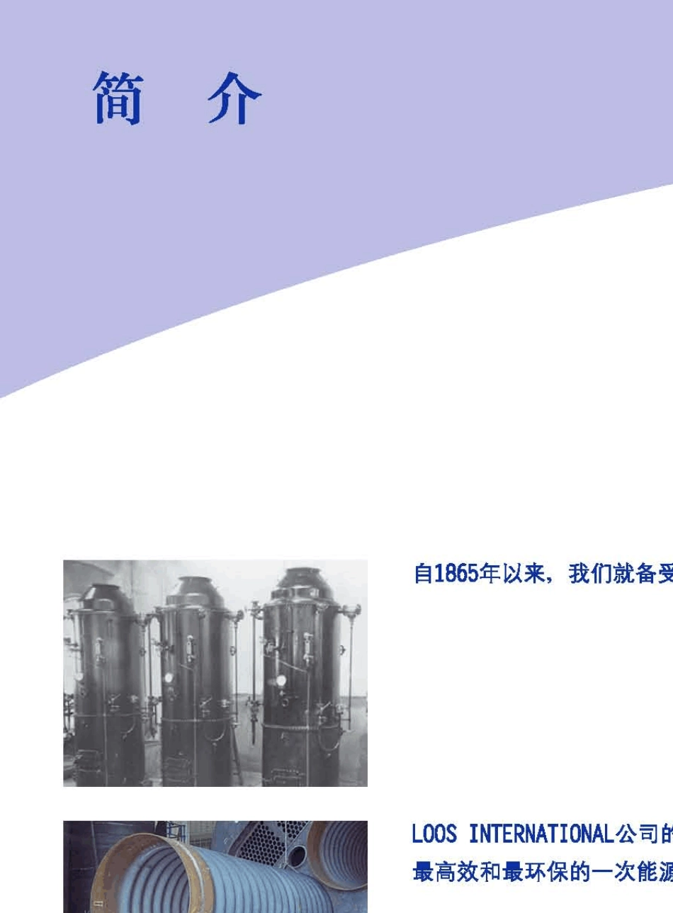LOOS蒸汽锅炉样本08版_第2页