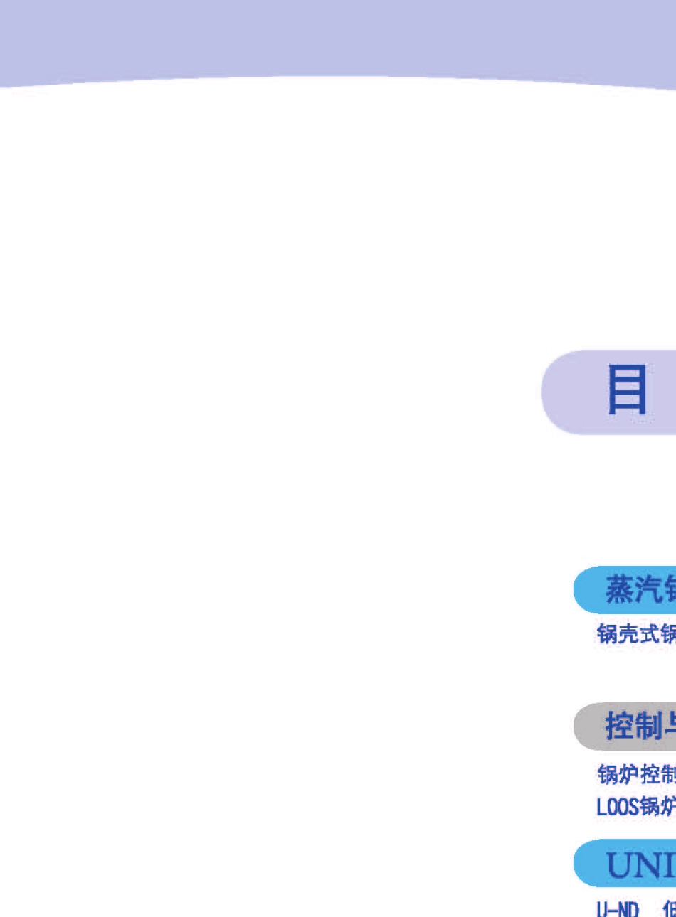 LOOS蒸汽锅炉样本08版_第3页