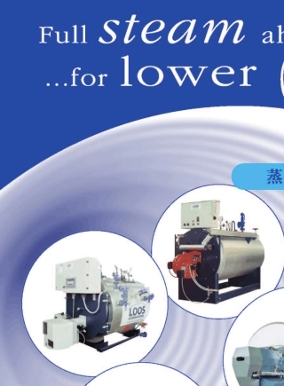 LOOS蒸汽锅炉样本08版