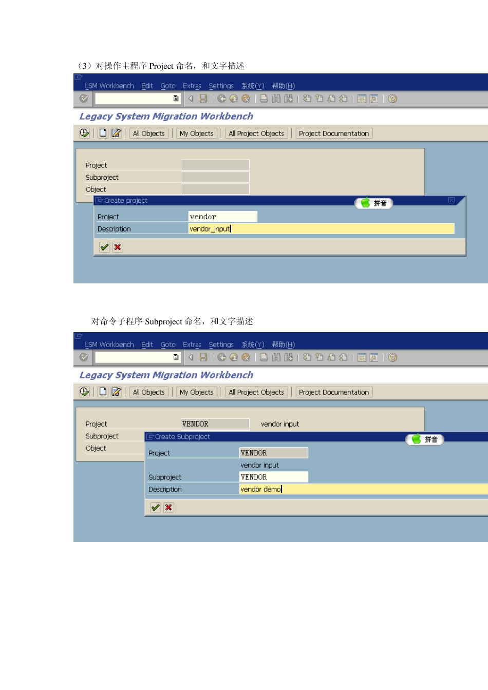 LSMW操作指南_第2页
