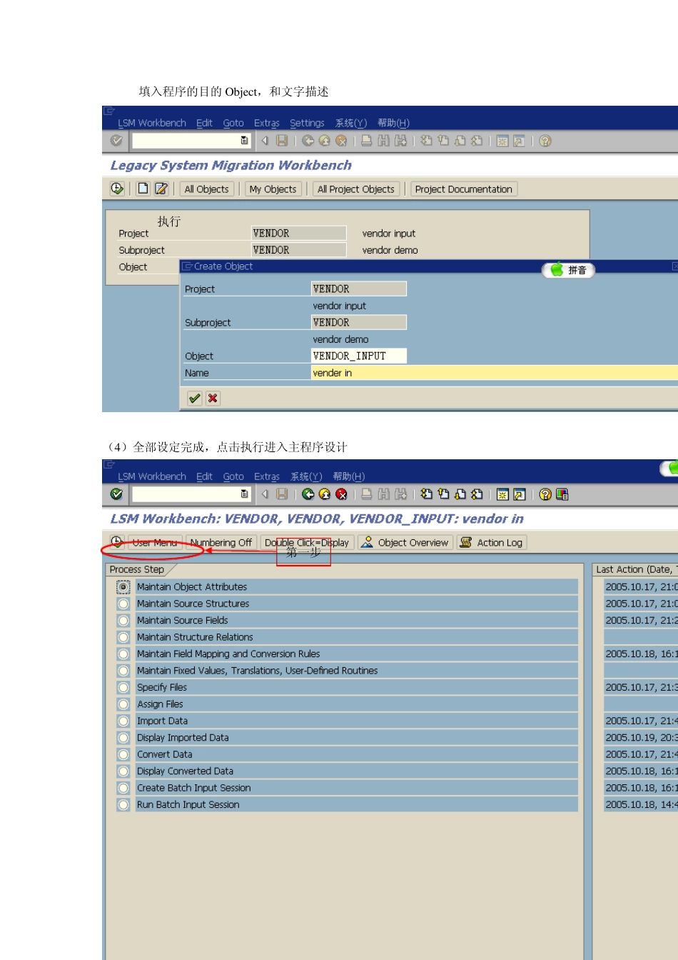 LSMW操作指南_第3页