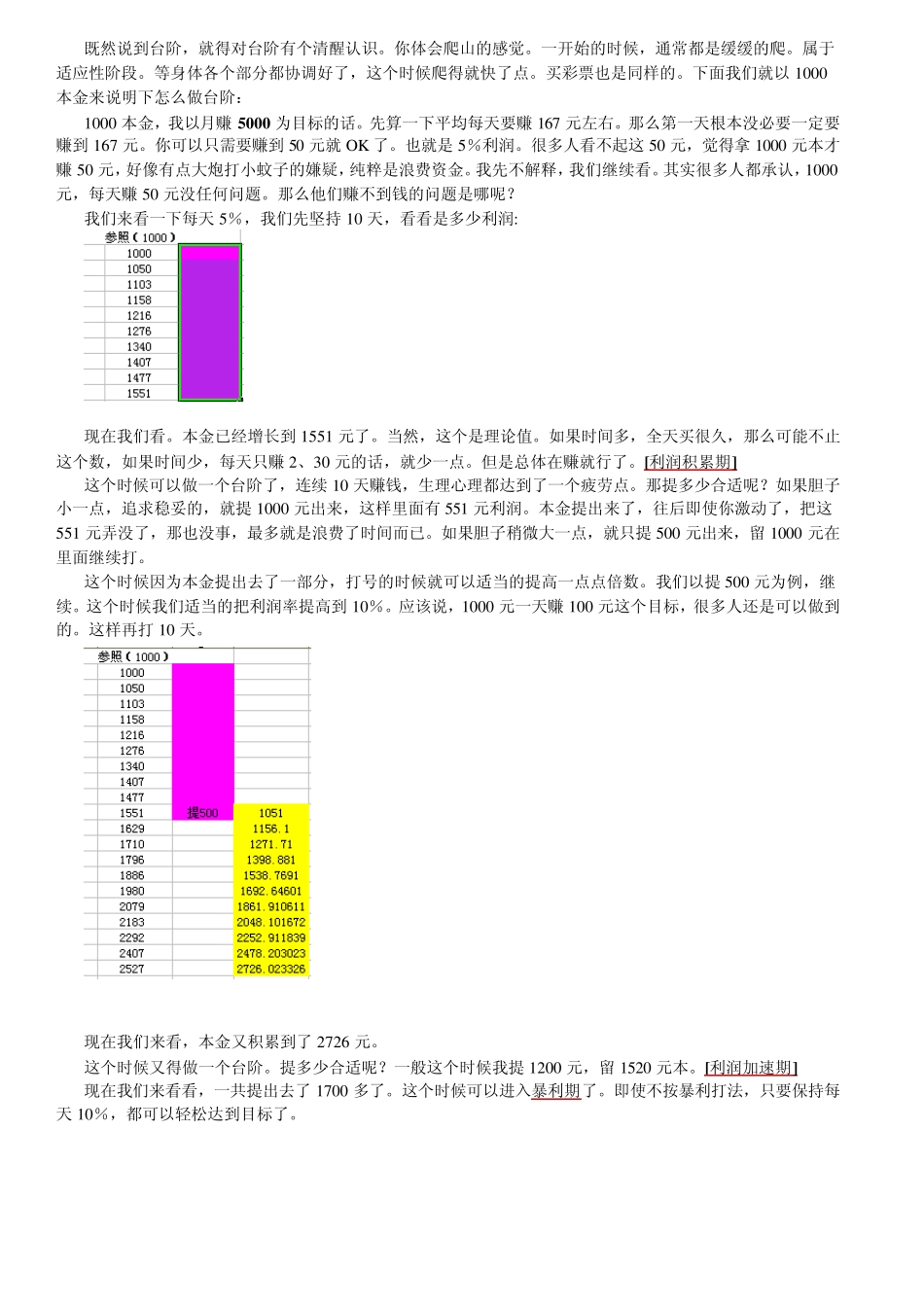 LS狼双战略体系_第2页