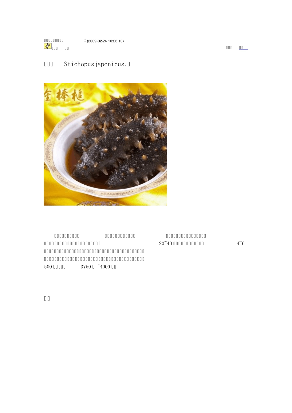 l辽参的营养价值及功效_第3页
