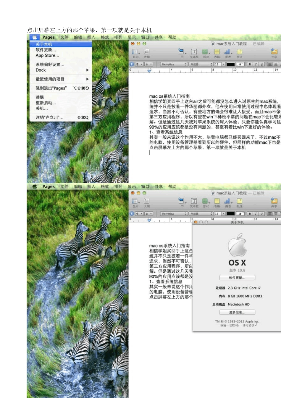 mac系统入门教程_第2页