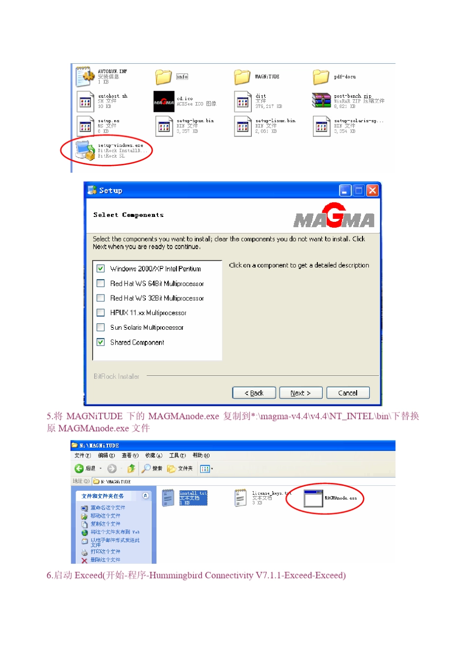 magmasoft安装教程_第2页