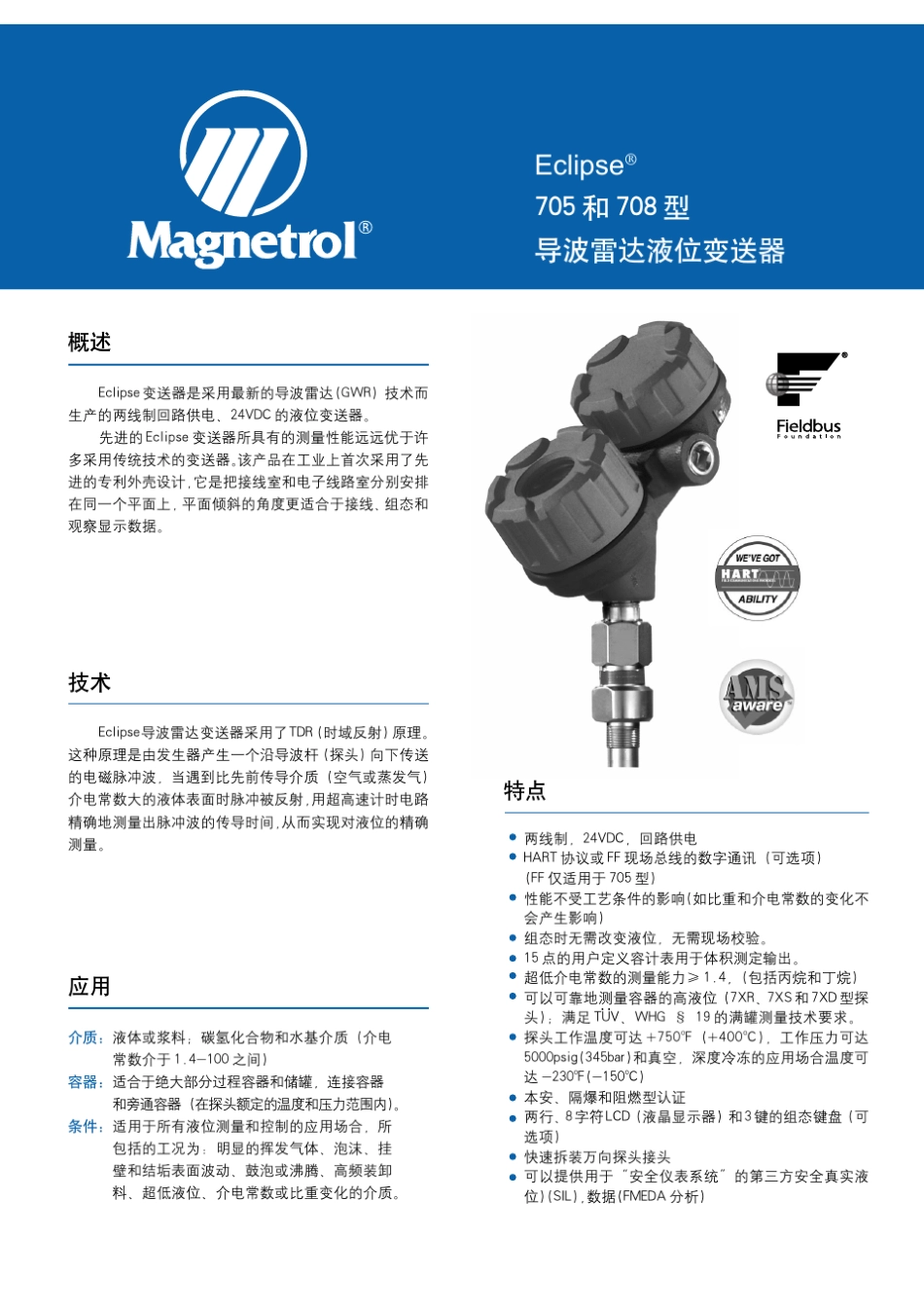 Magnetrol导波雷达选型样本_第1页