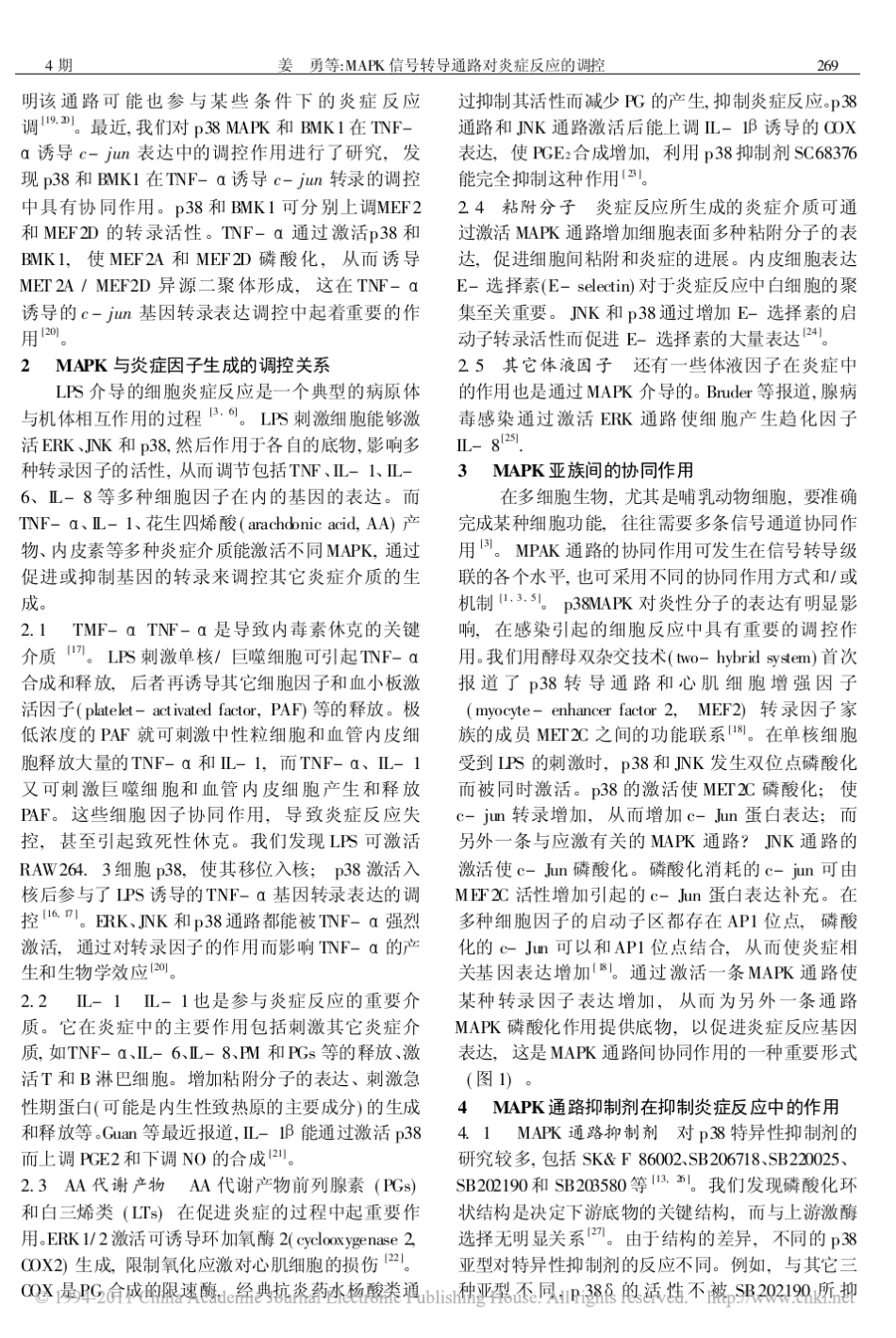 MAPK信号转导通路对炎症反应的调控_第3页