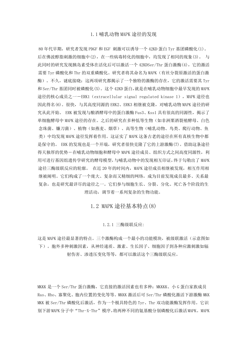 MAPK信号途径简介_第1页