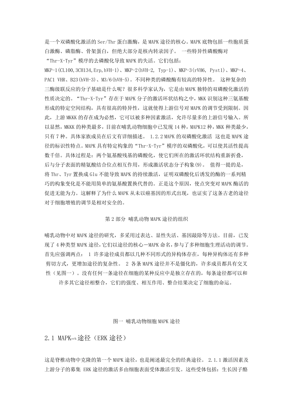 MAPK信号途径简介_第2页