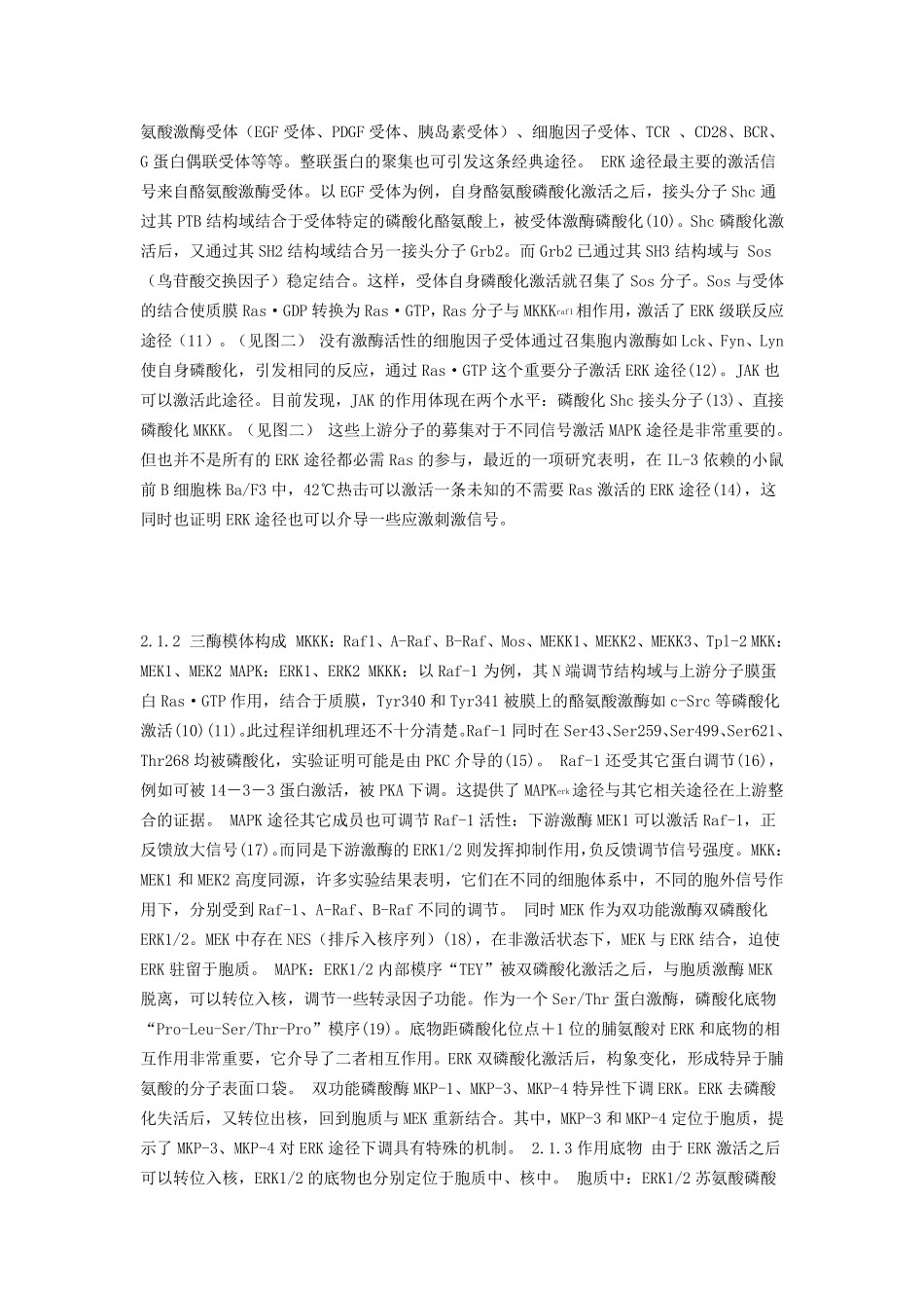 MAPK信号途径简介_第3页