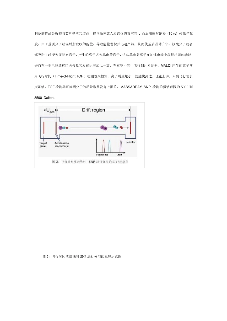 MASSARRAY原理_第3页