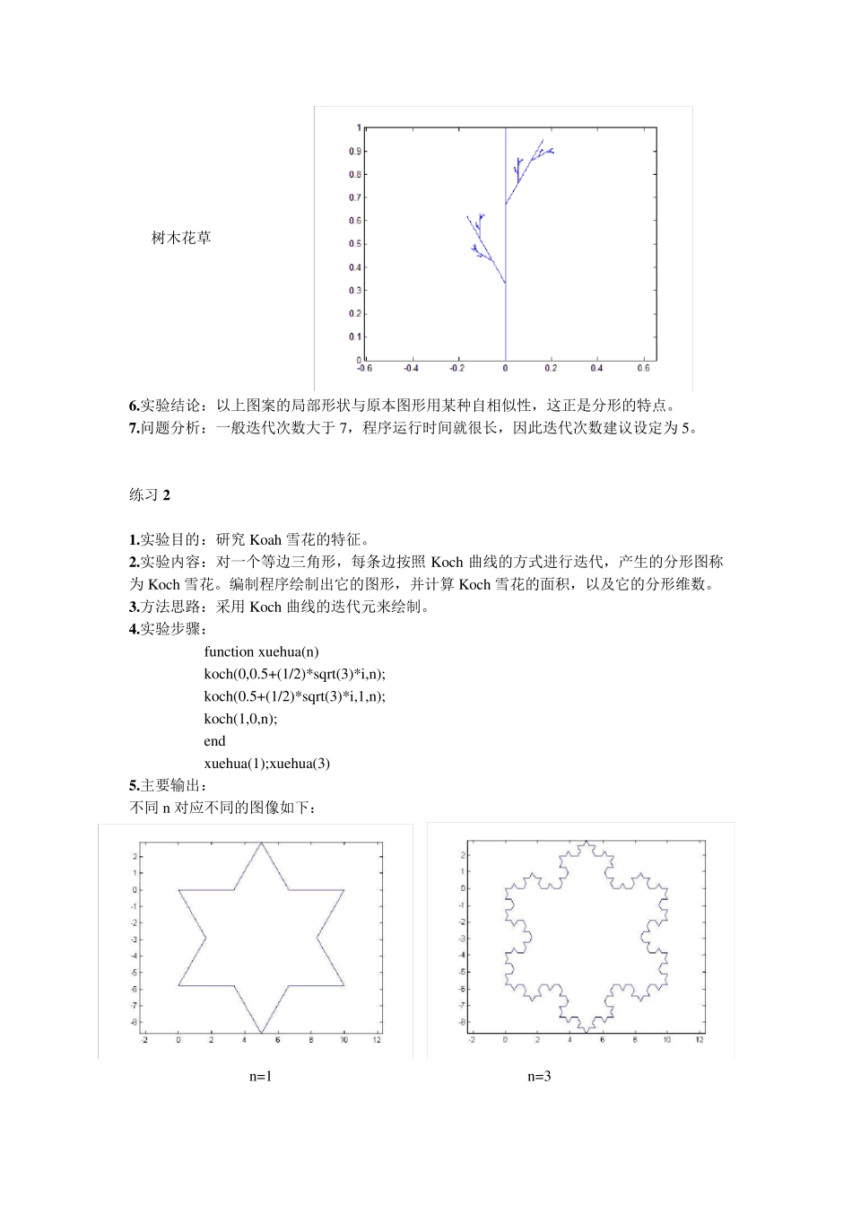 Matlab实验报告：分形迭代_第3页