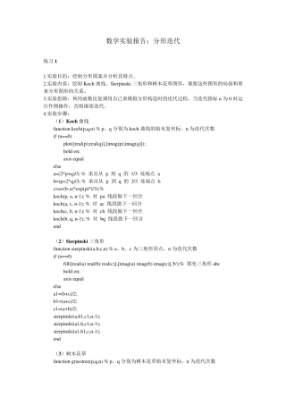 Matlab实验报告：分形迭代
