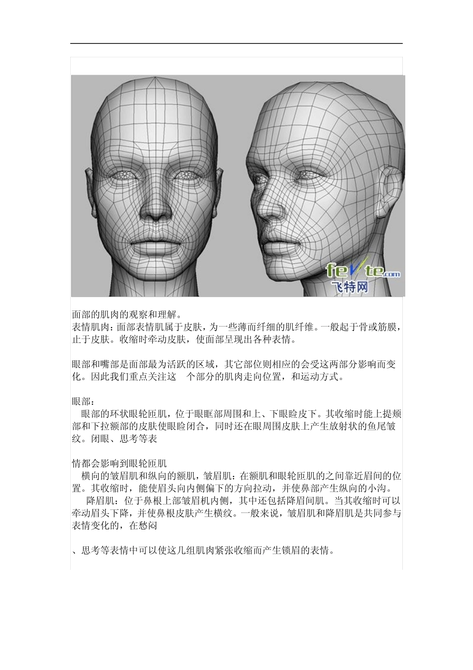 MAYA人头布线_第2页