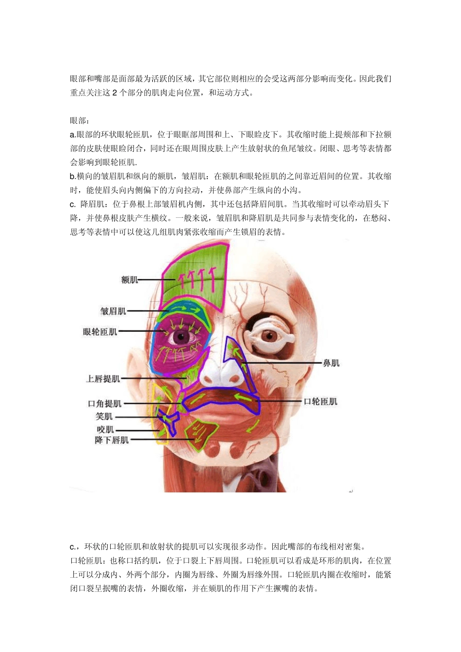 maya人物建模_第2页