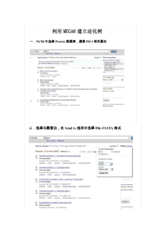 MEGA6建立进化树