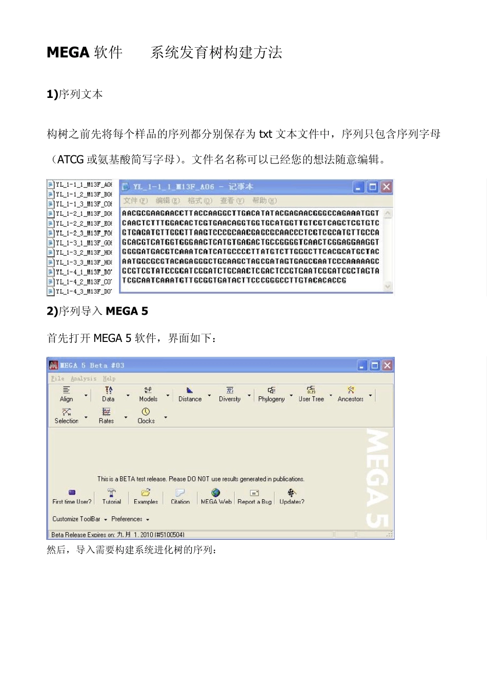 MEGA软件——系统发育树构建方法_第1页