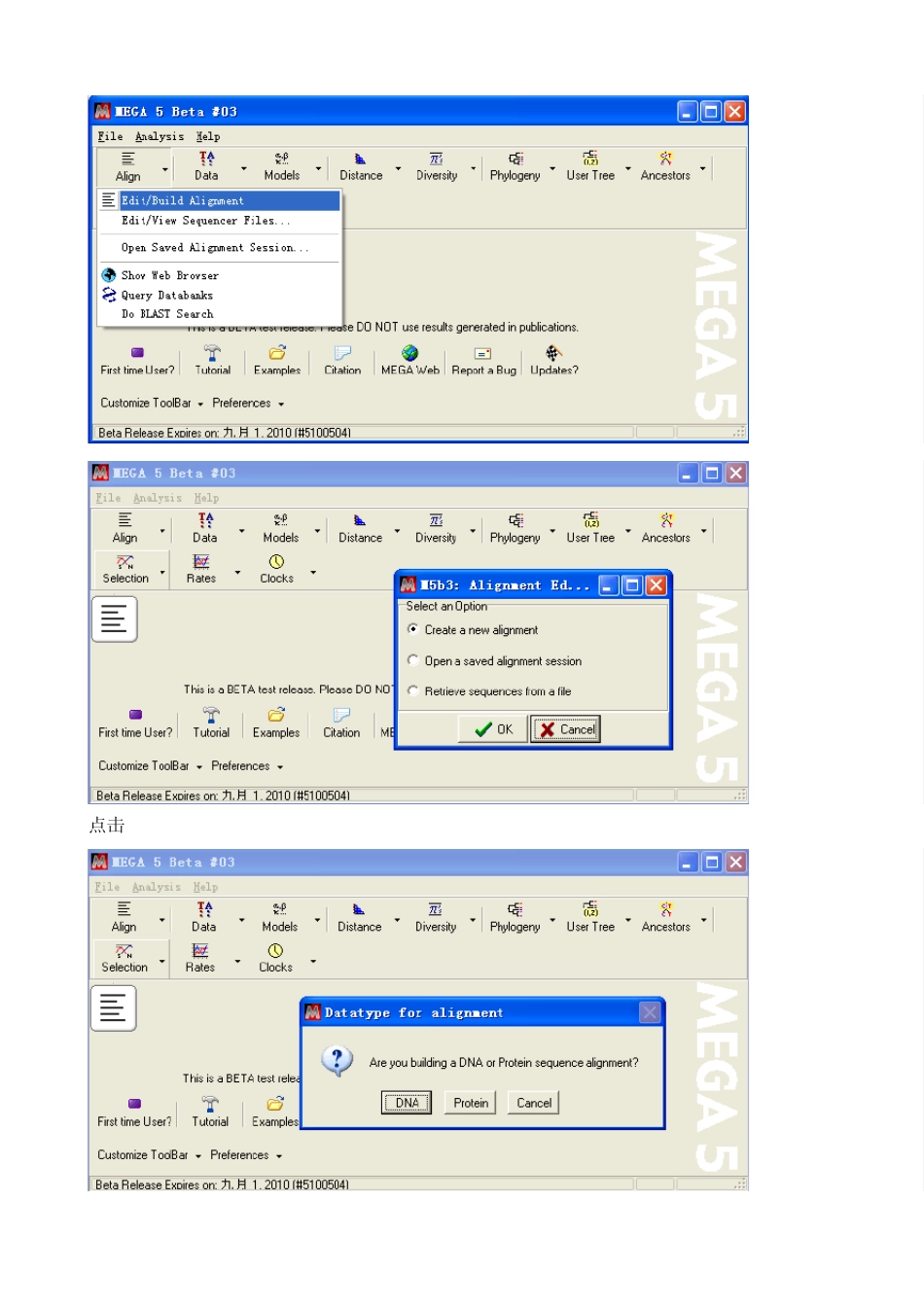 MEGA软件——系统发育树构建方法_第2页