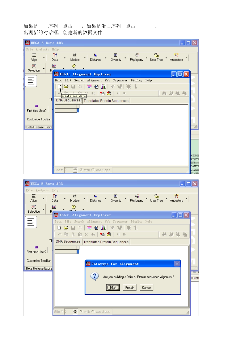 MEGA软件——系统发育树构建方法_第3页