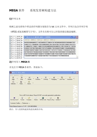 MEGA软件——系统发育树构建方法