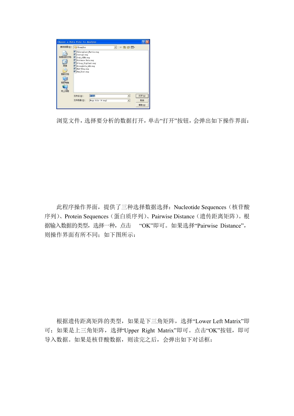 MEGA软件的使用_第2页