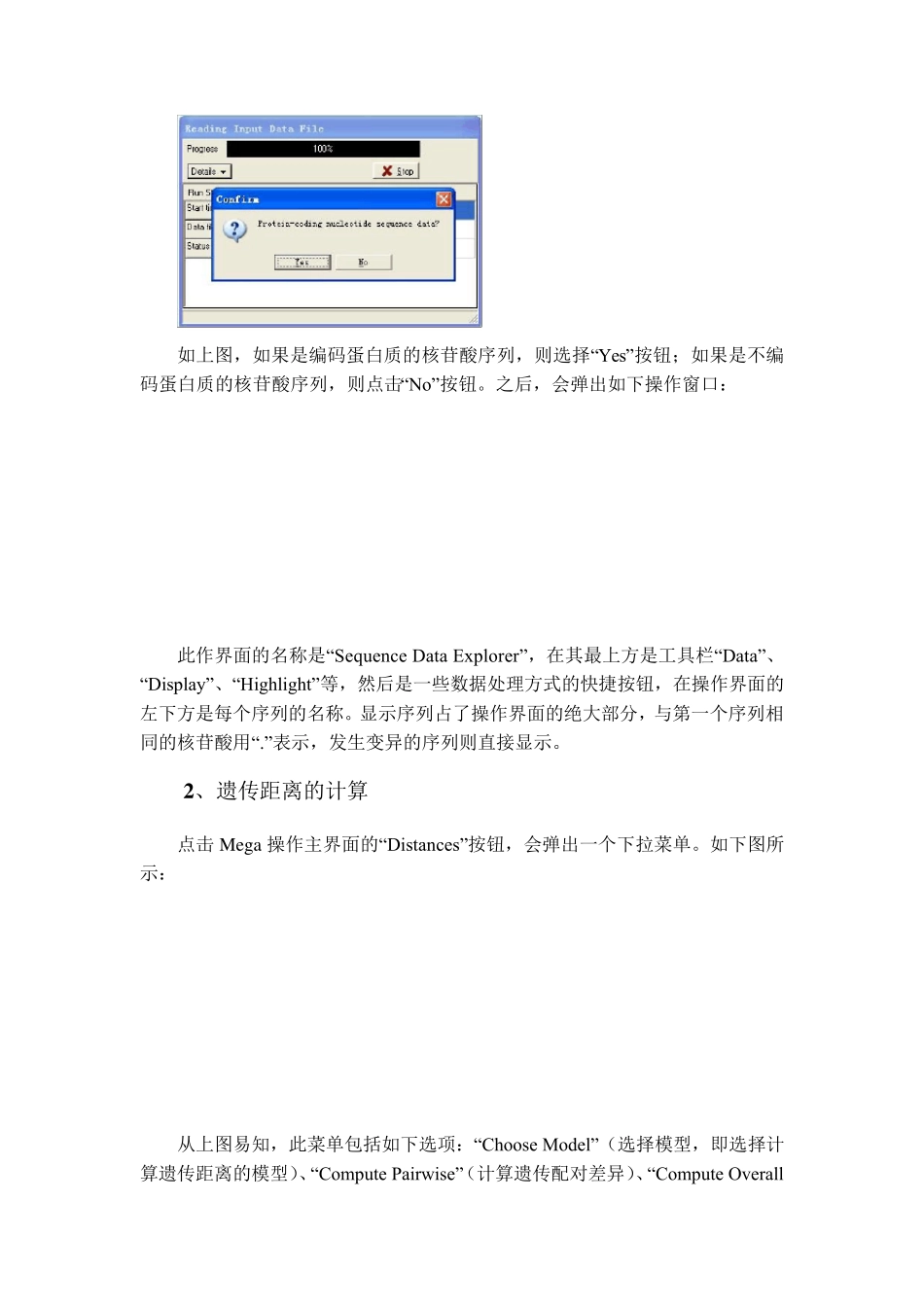 MEGA软件的使用_第3页