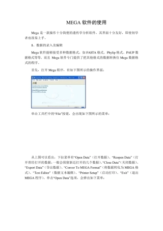 MEGA软件的使用
