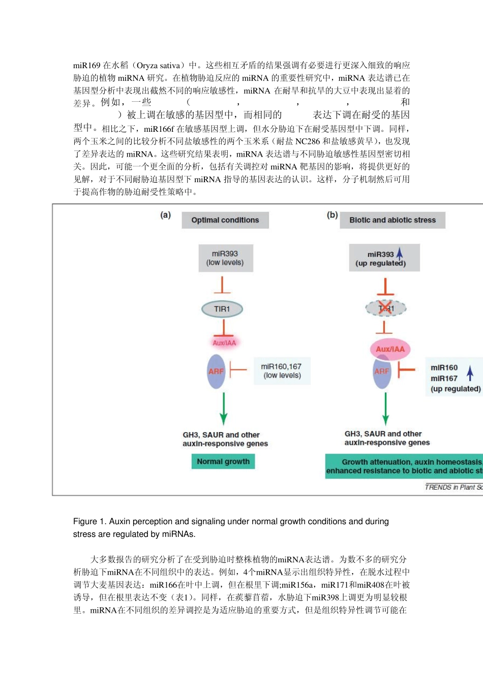 microRNAs在植物逆境响应中的作用_第3页