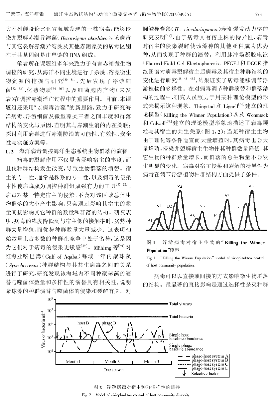 minireview小型综述海洋病毒海洋生态系统结构与功能的重要调控者_第3页