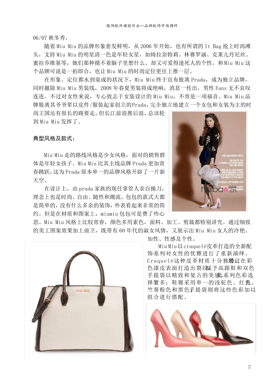 MiuMiu品牌手提包市场调研_第3页