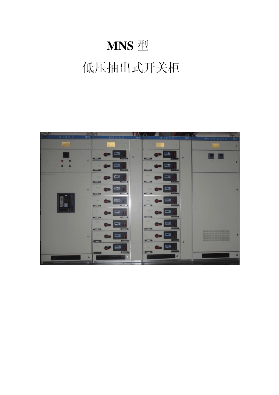 MNS技术说明书_第1页